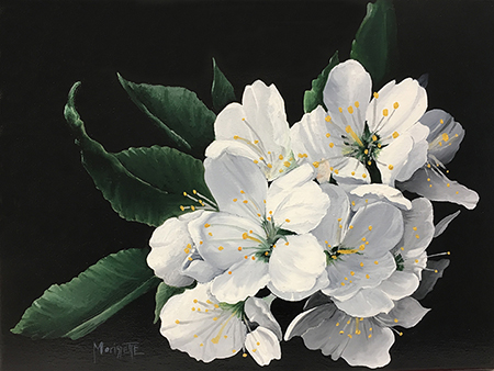 Fleurs de pommier
